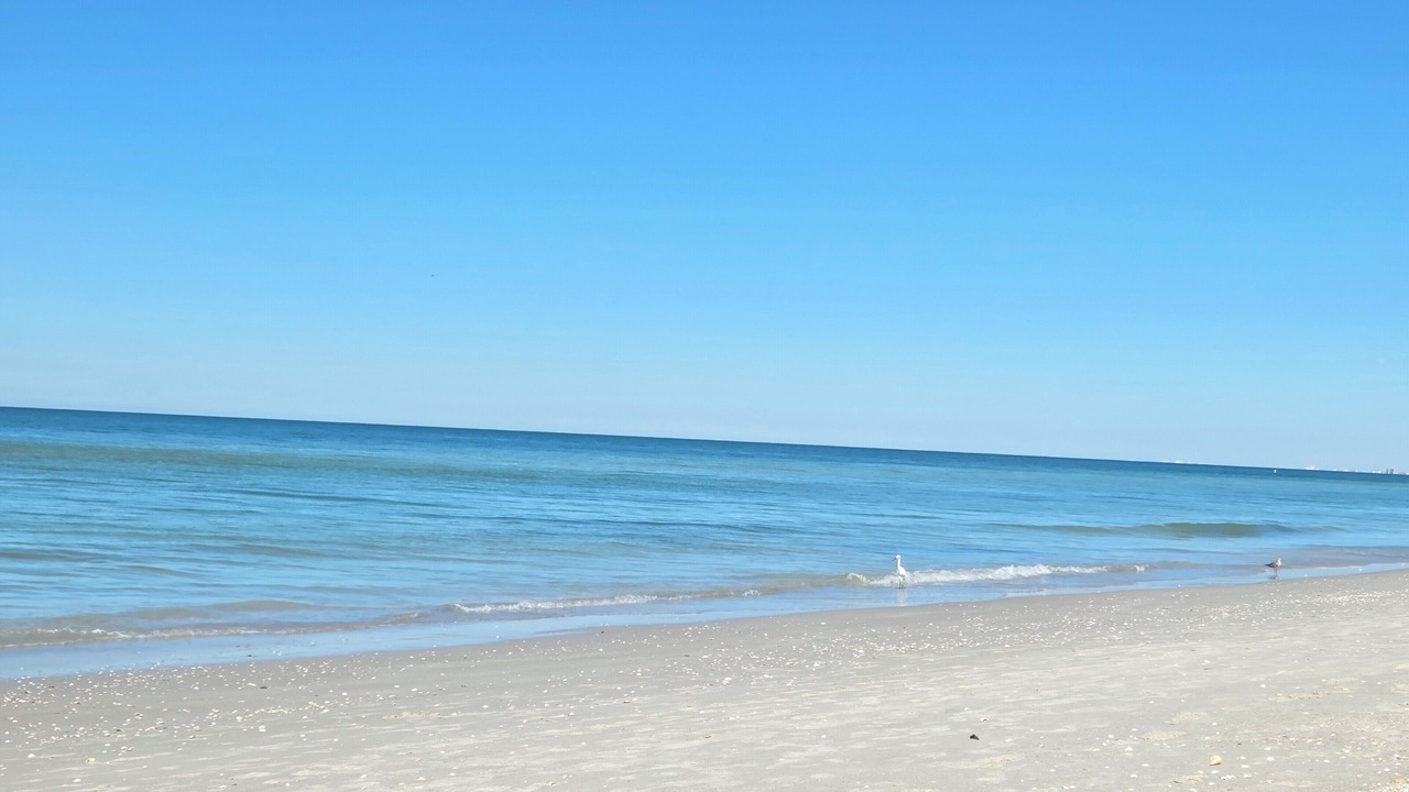 Photo of Others in Bonita Shores