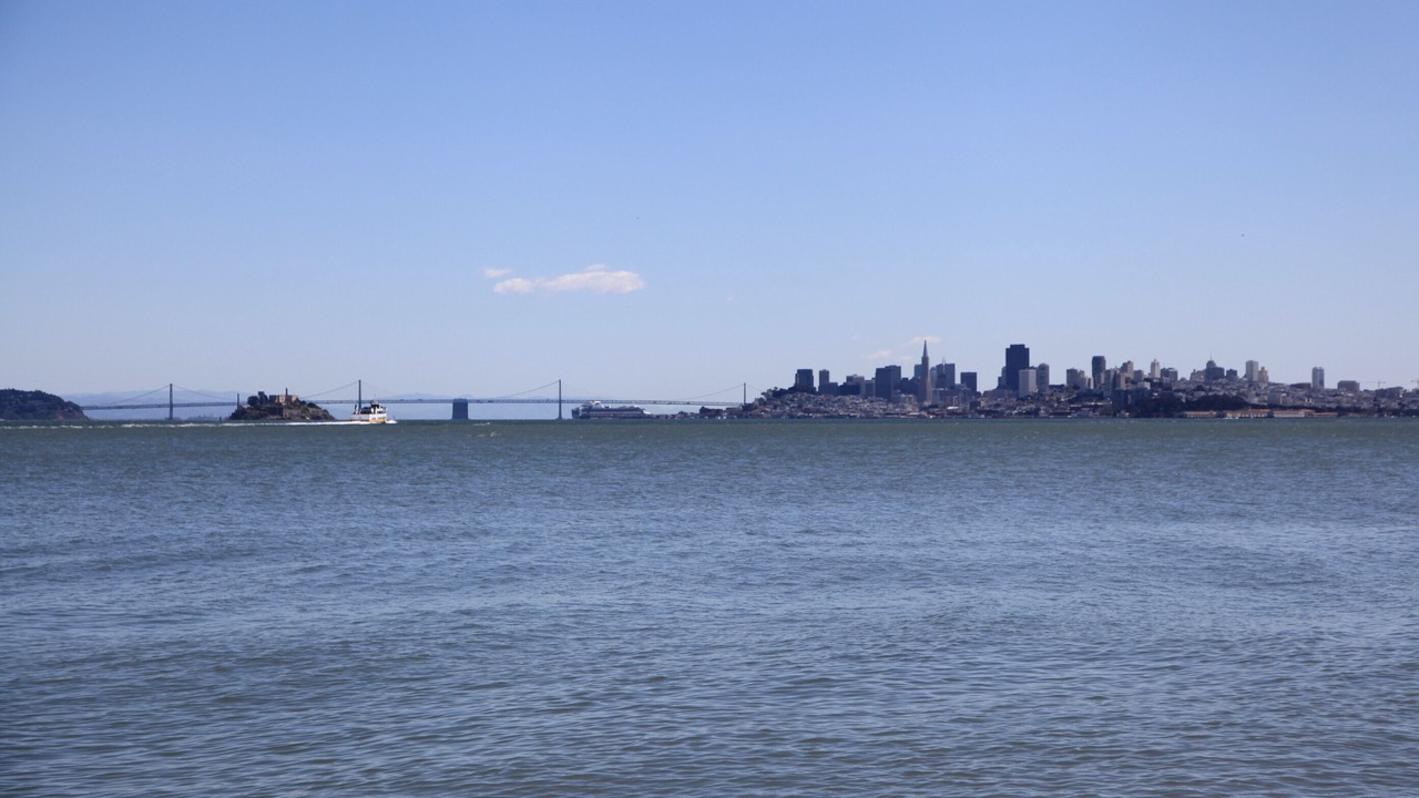 Photo of Others in Sausalito