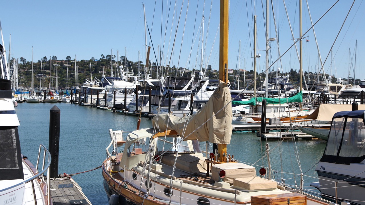 Photo of Others in Sausalito