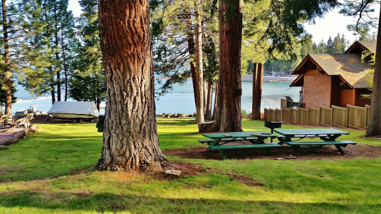 Photo of Others in Peninsula Village