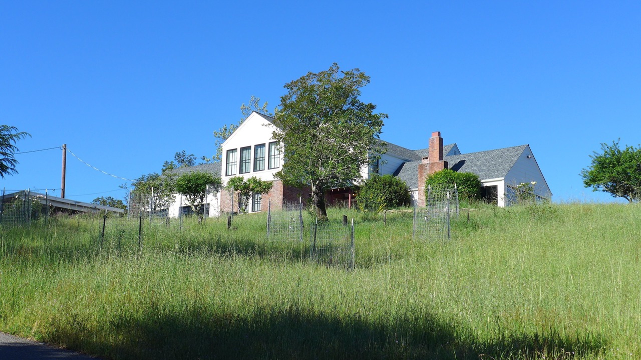 Photo of Others in Forestville