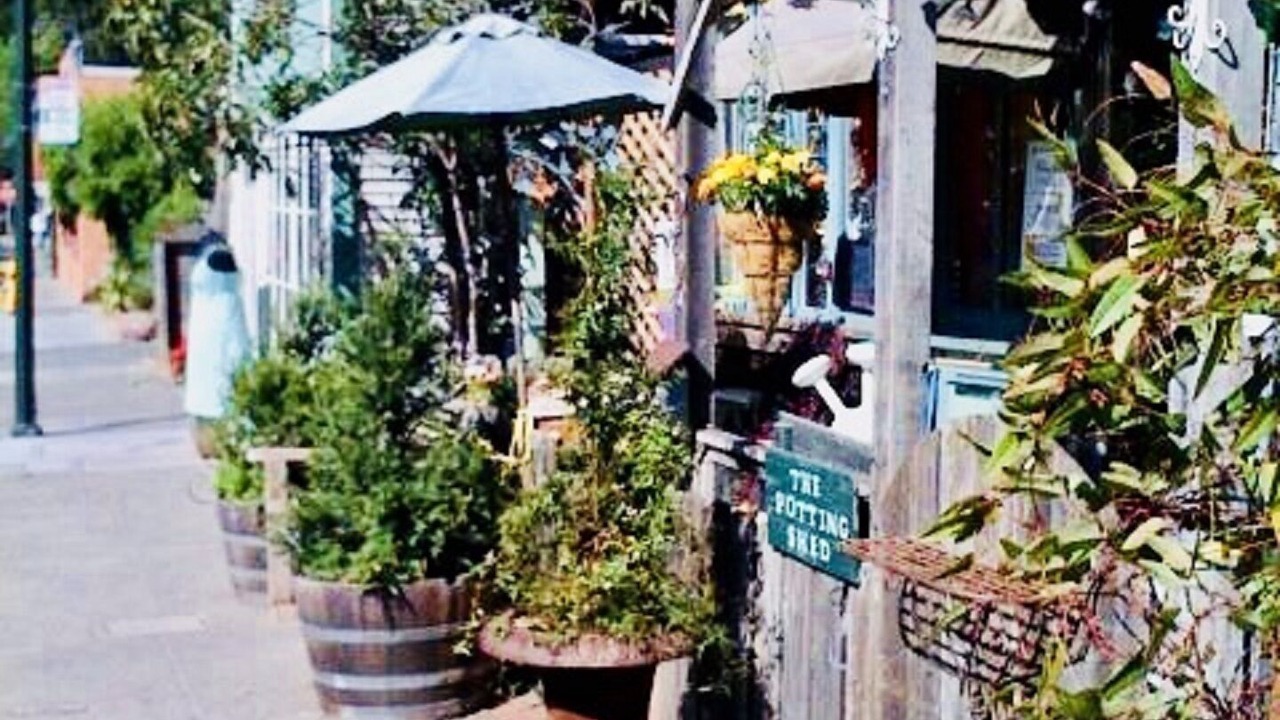 Photo of Others in Fairfax
