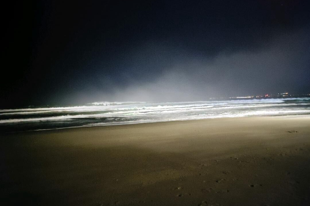 Photo of Others in La Selva Beach