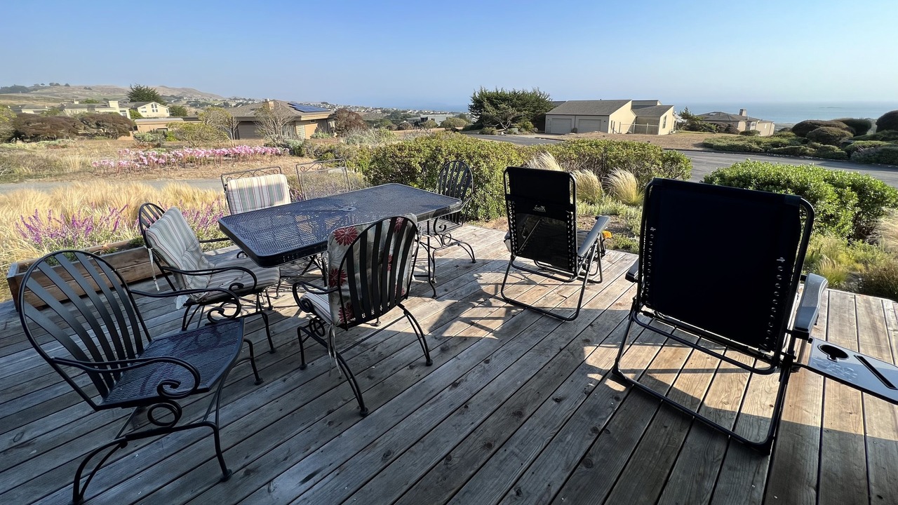 Photo of Others in Bodega Bay