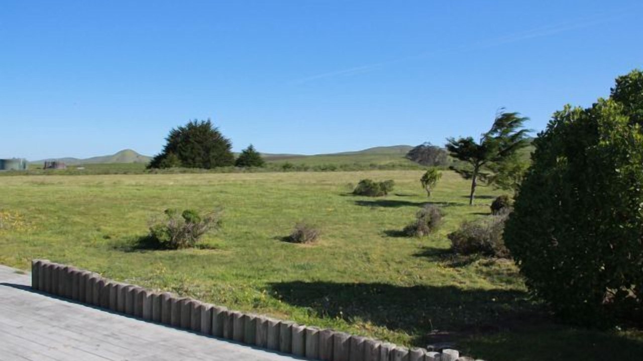 Photo of Others in Bodega Bay