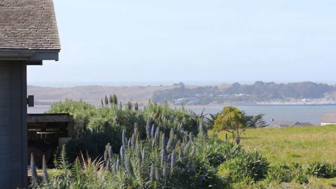 Photo of Others in Bodega Bay