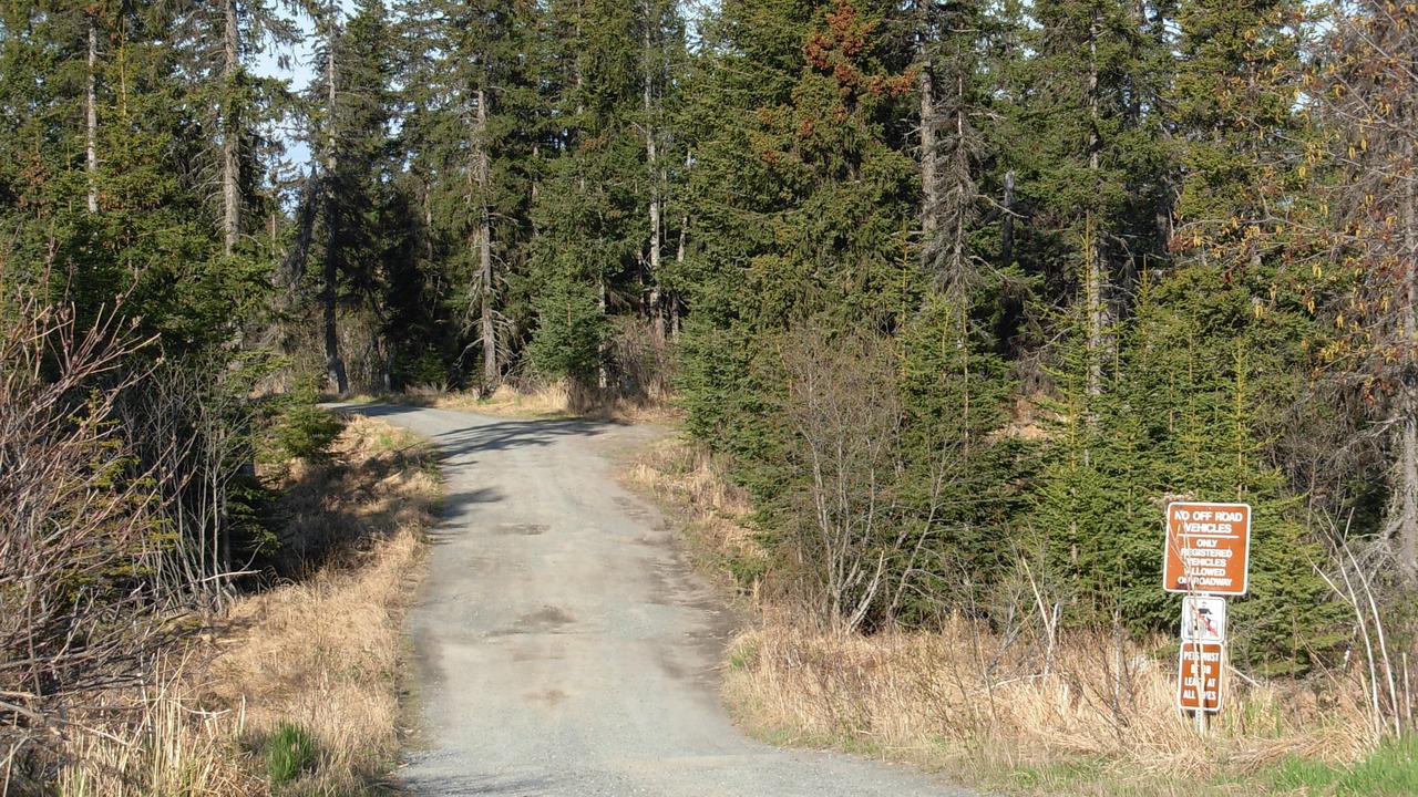 Photo of Others in Diamond Ridge