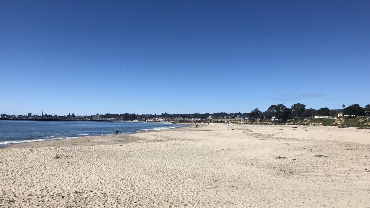 Photo of Others in Seabright