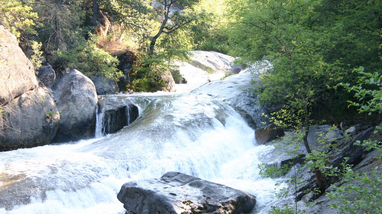 Photo of Outdoor in North Fork