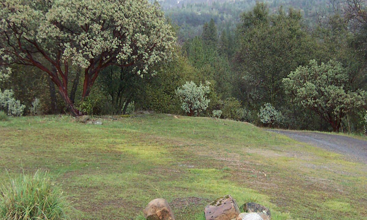 Photo of Others in North Fork