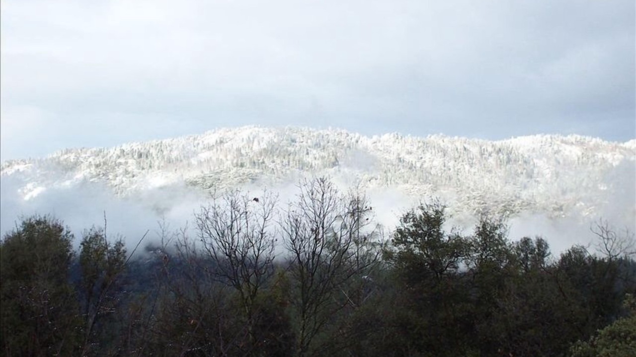 Photo of Others in North Fork