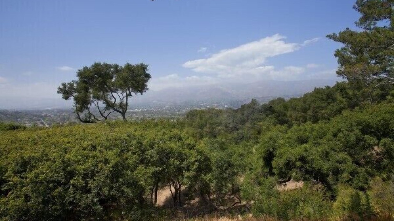 Photo of Outdoor in Alta Mesa