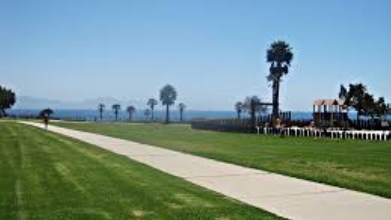 Photo of Others in Alta Mesa