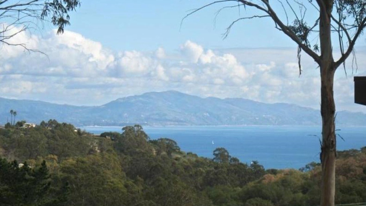 Photo of Others in Alta Mesa