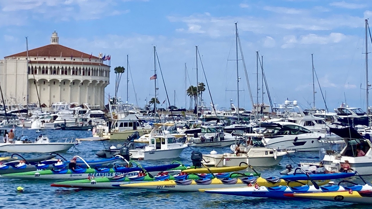 Photo of Others in Avalon