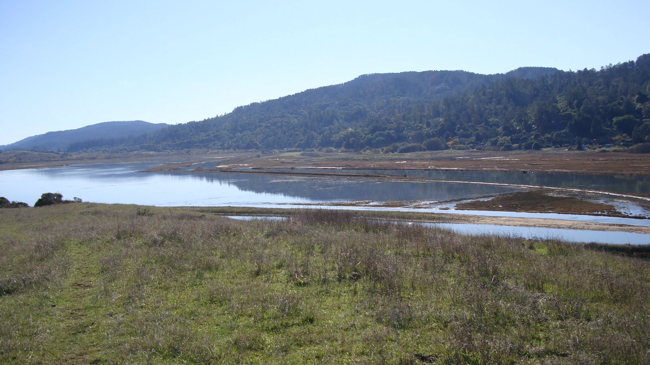 Photo of Others in Point Reyes Station