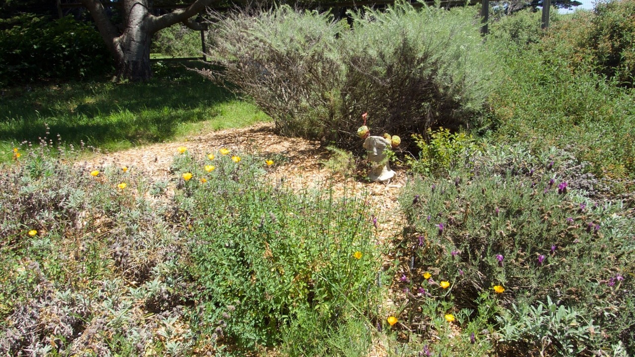 Photo of Outdoor in Point Reyes Station