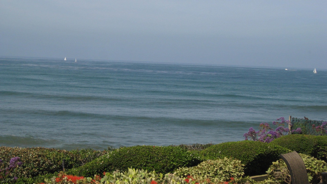 Photo of Others in Ocean Beach