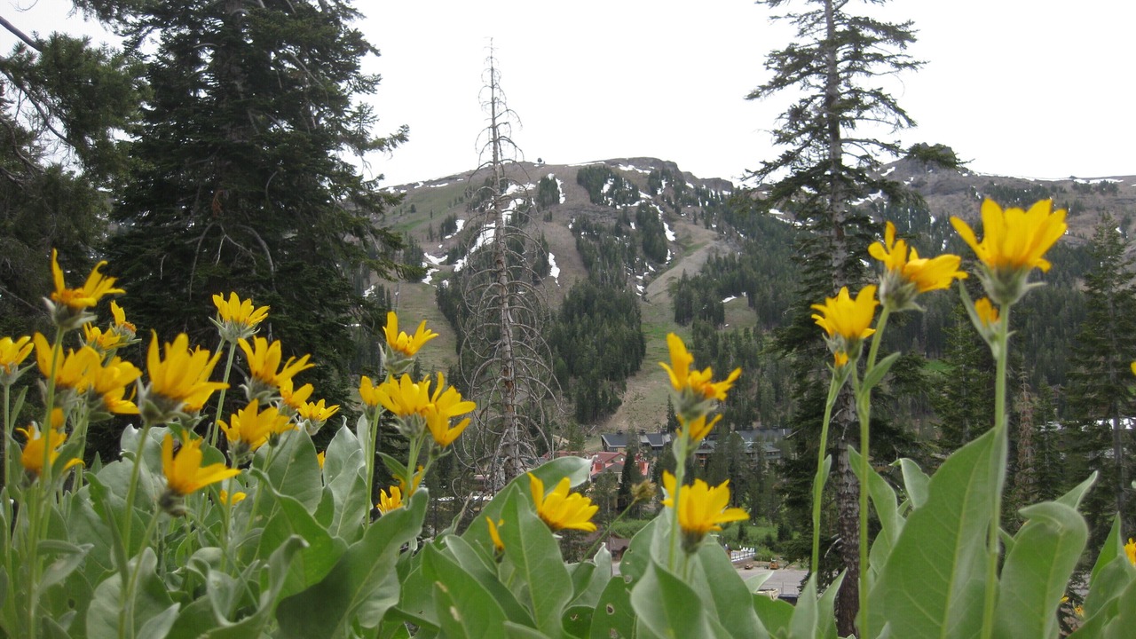 Photo of Others in Juniper Ridge
