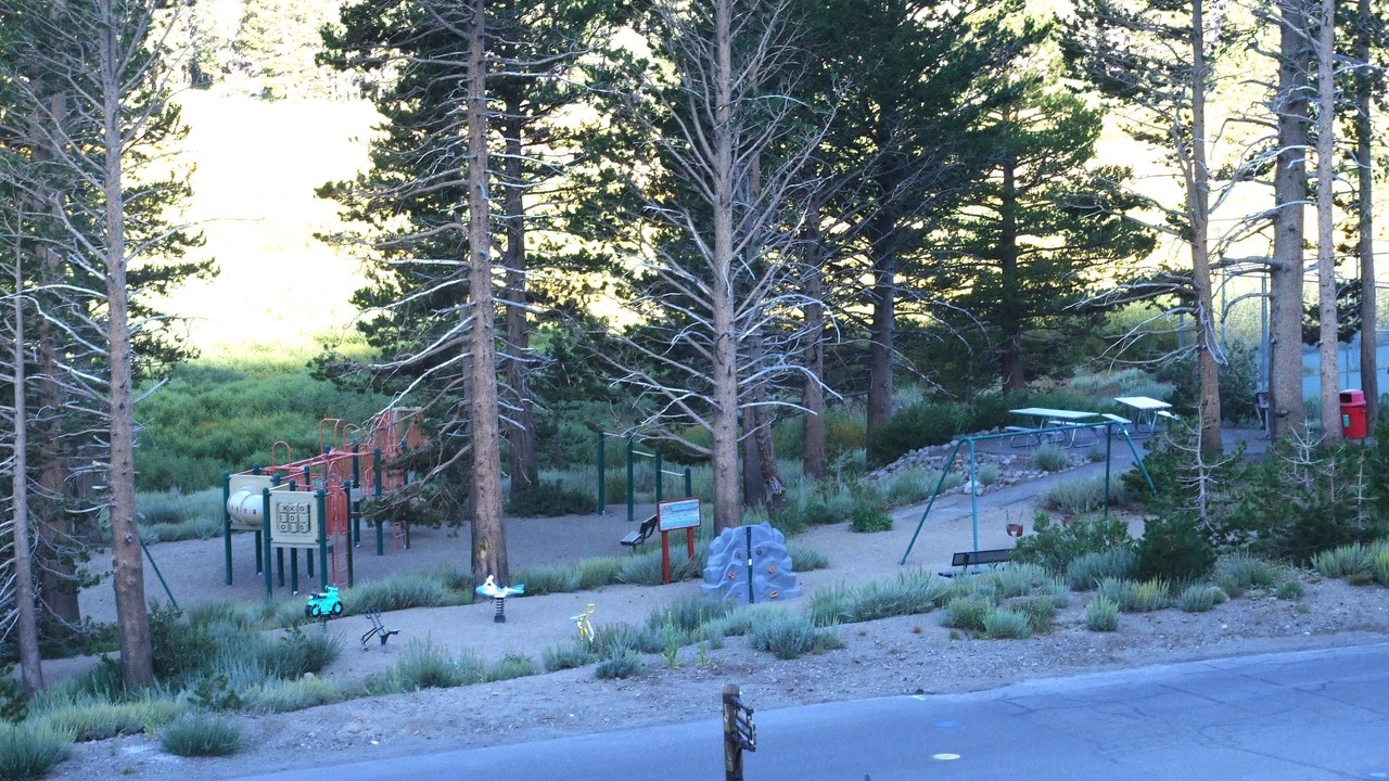 Photo of Others in Juniper Ridge