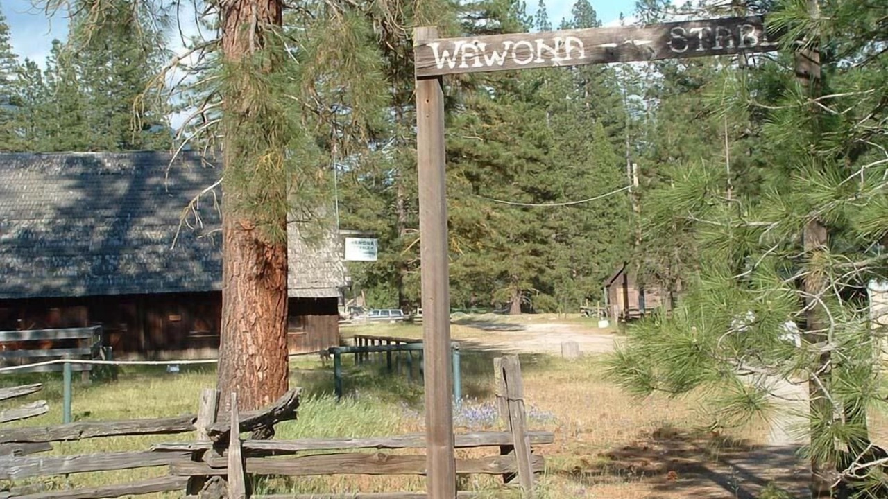 Photo of Outdoor in North Wawona