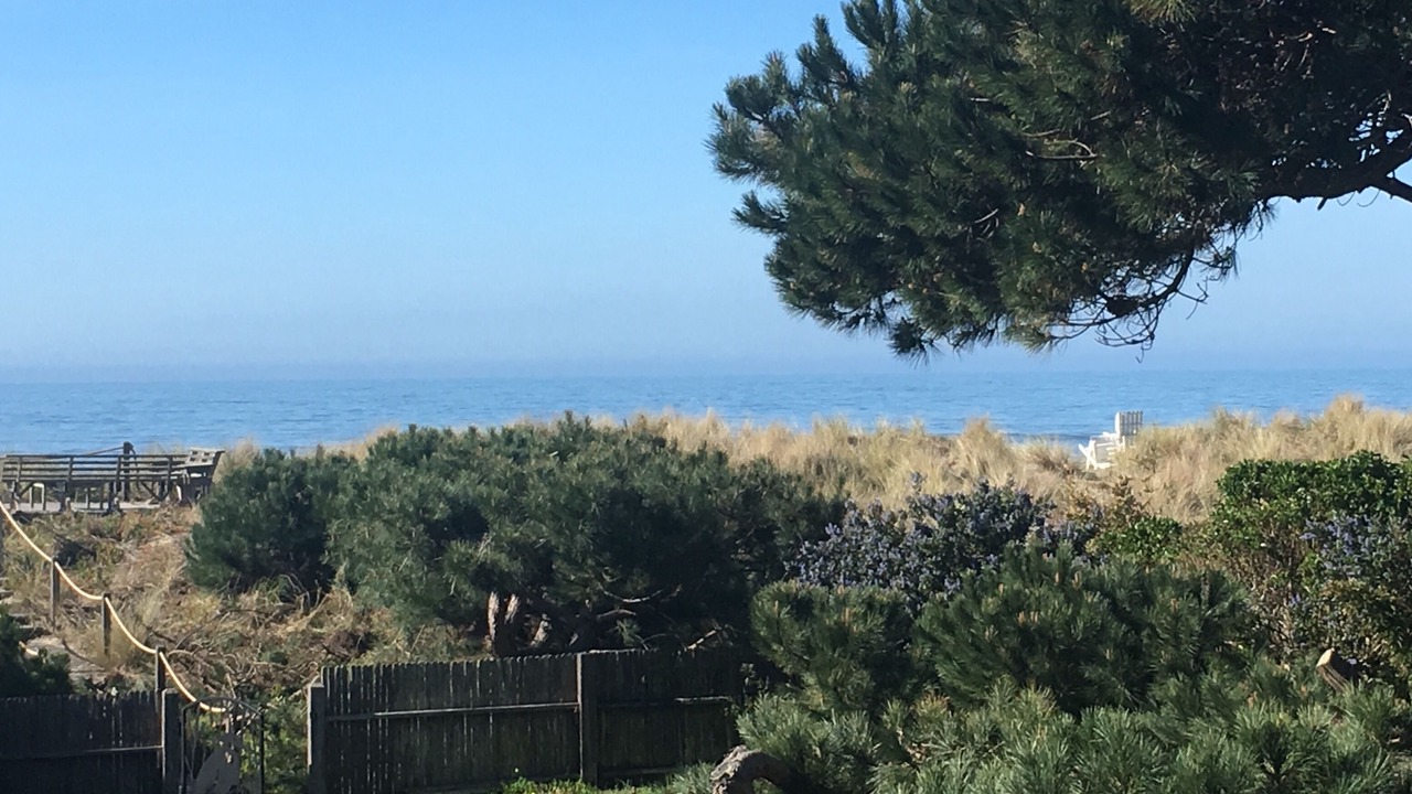 Photo of Others in Stinson Beach
