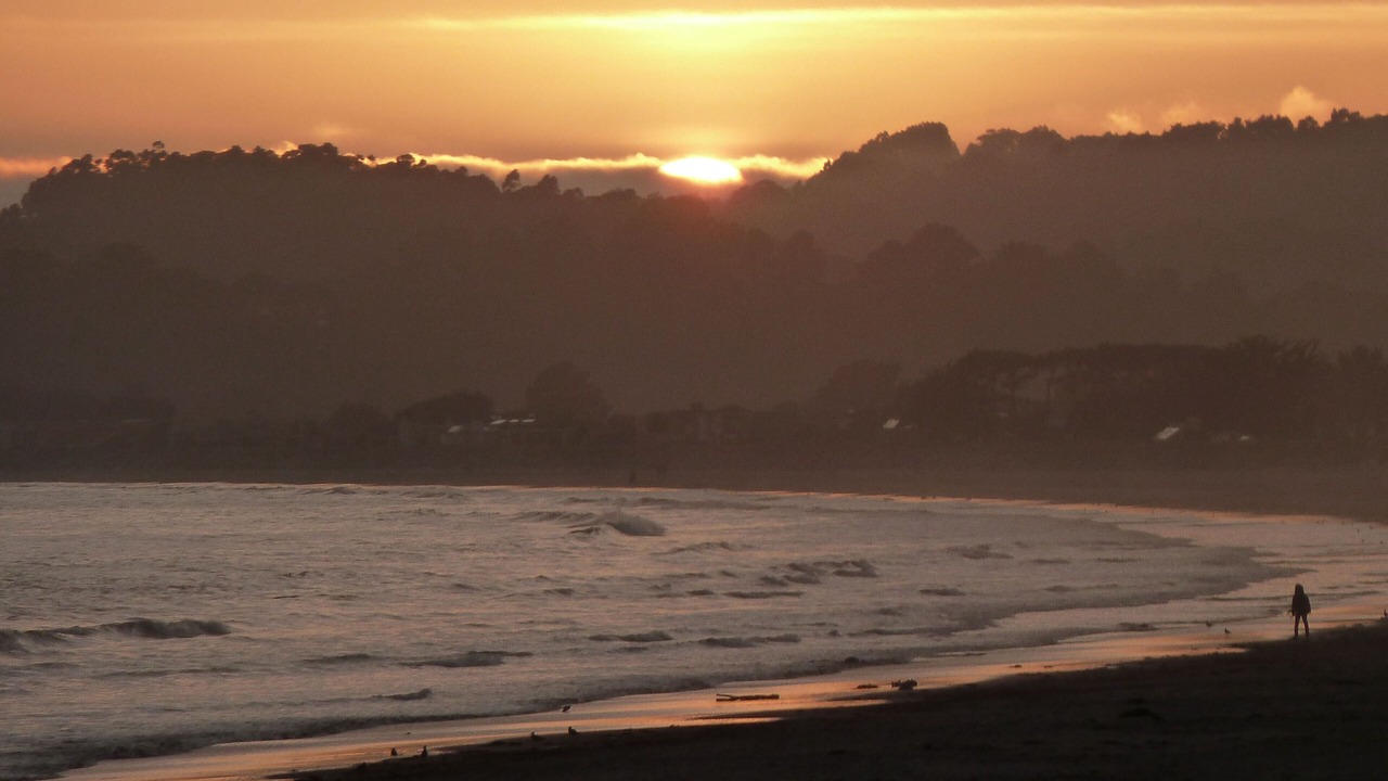 Photo of Others in Stinson Beach
