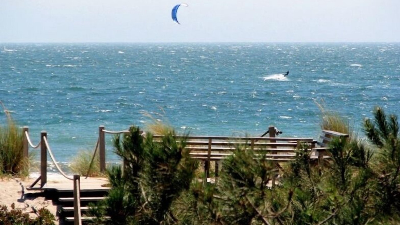 Photo of Others in Stinson Beach