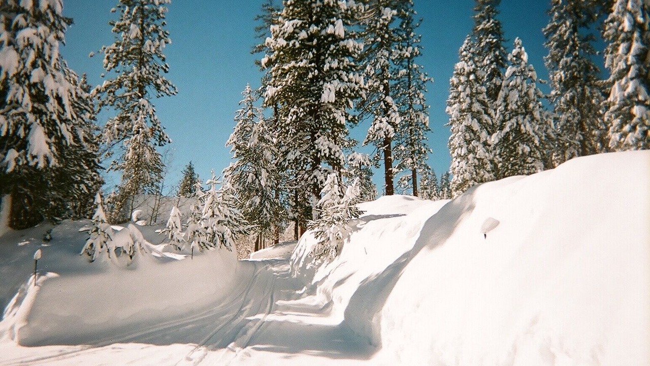 Photo of Others in Ponderosa
