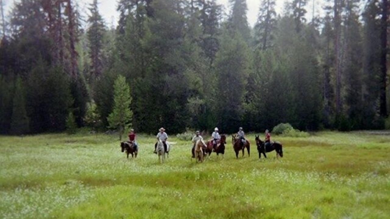 Photo of Others in Ponderosa