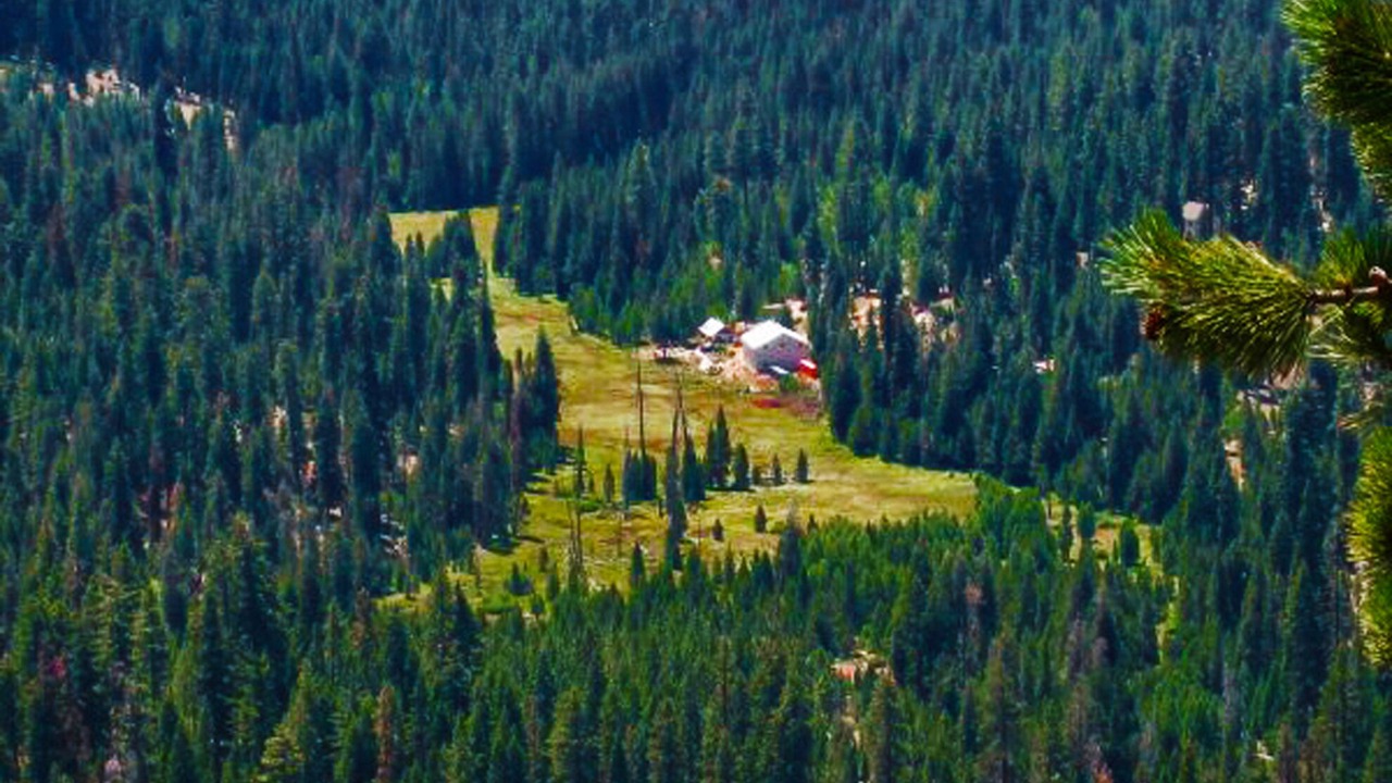 Photo of Others in Ponderosa