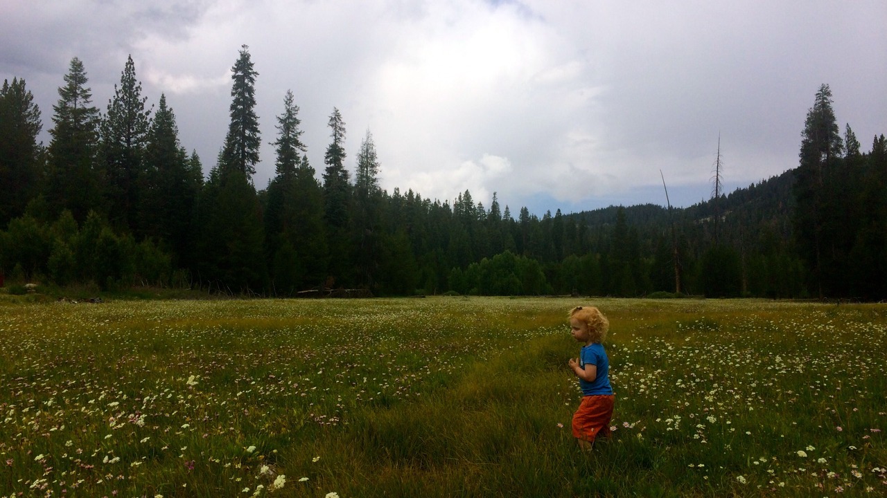 Photo of Others in Ponderosa