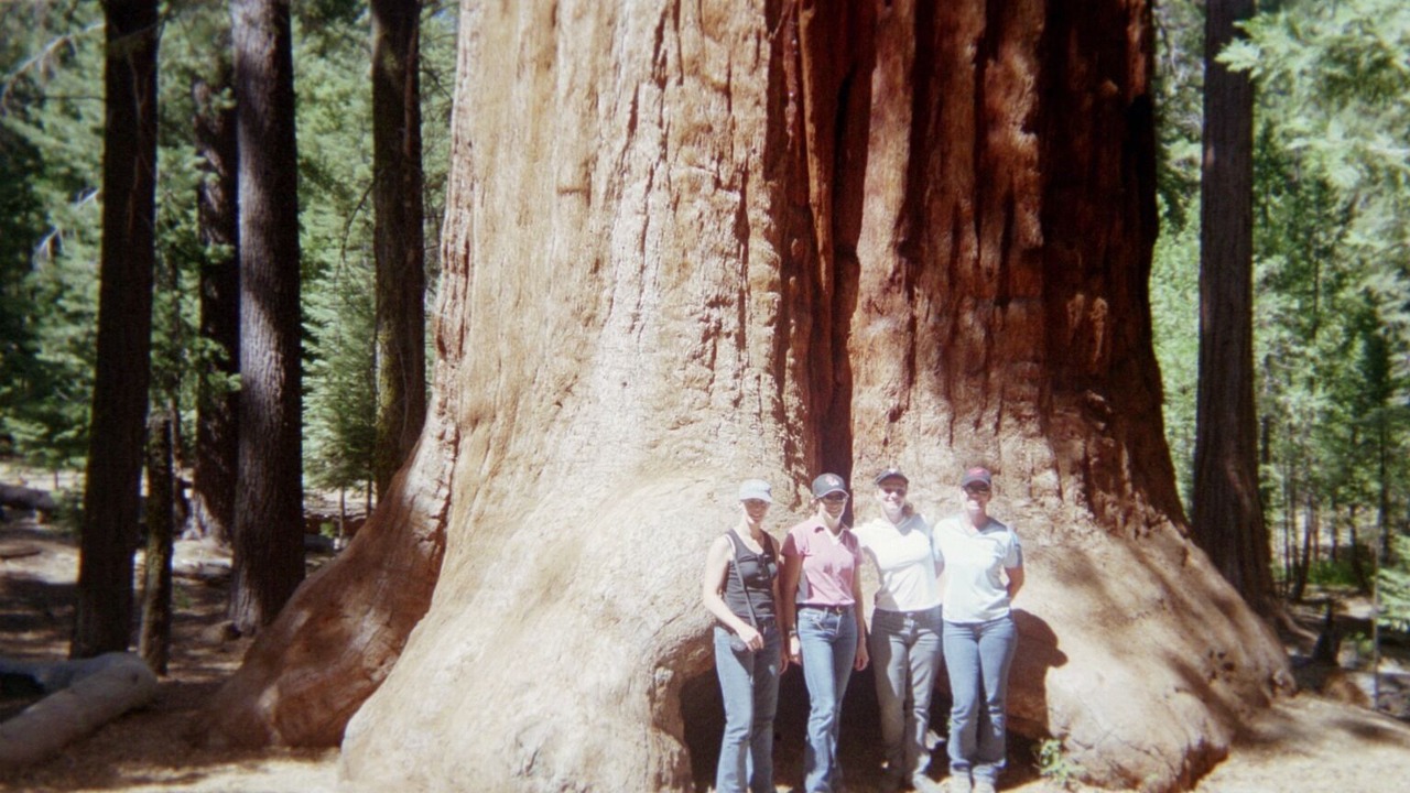 Photo of Others in Ponderosa