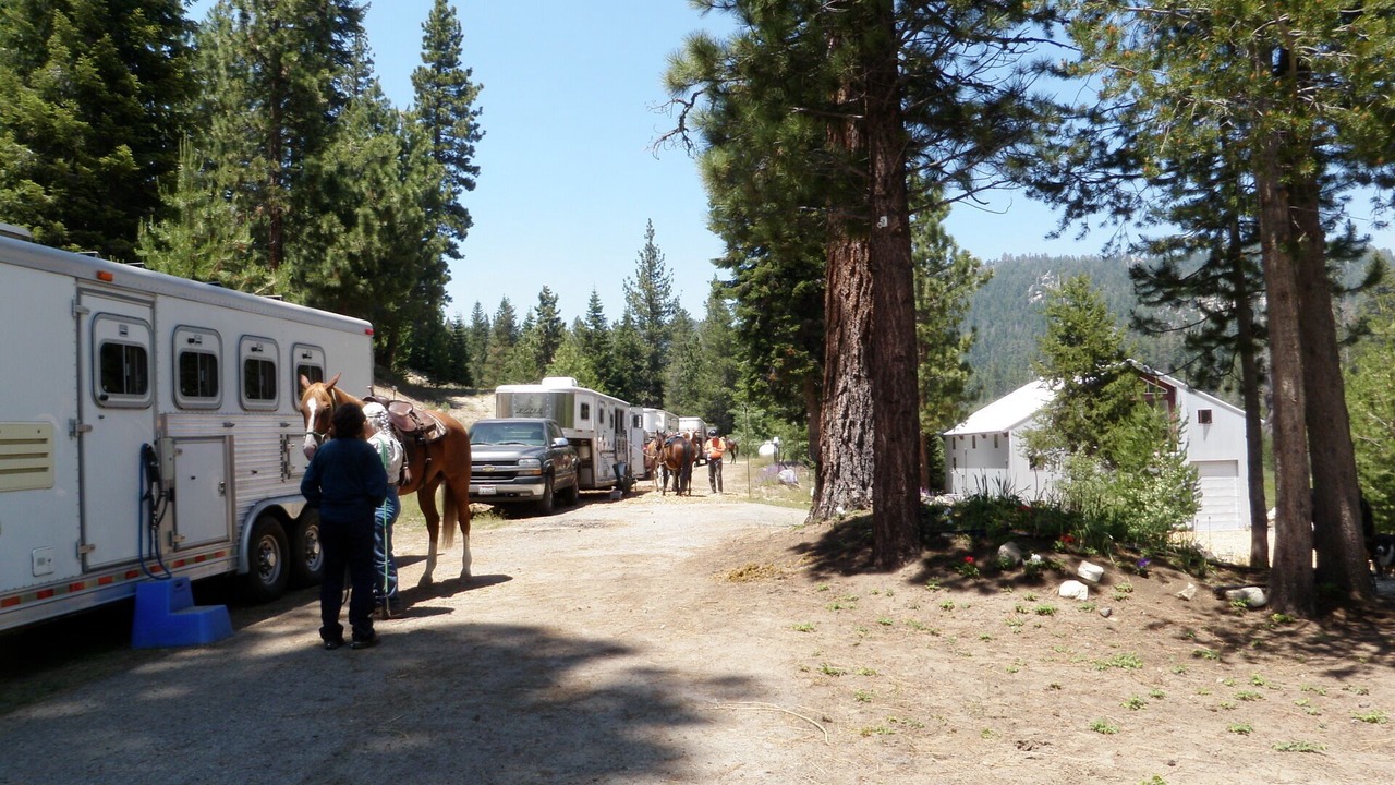 Photo of Others in Ponderosa