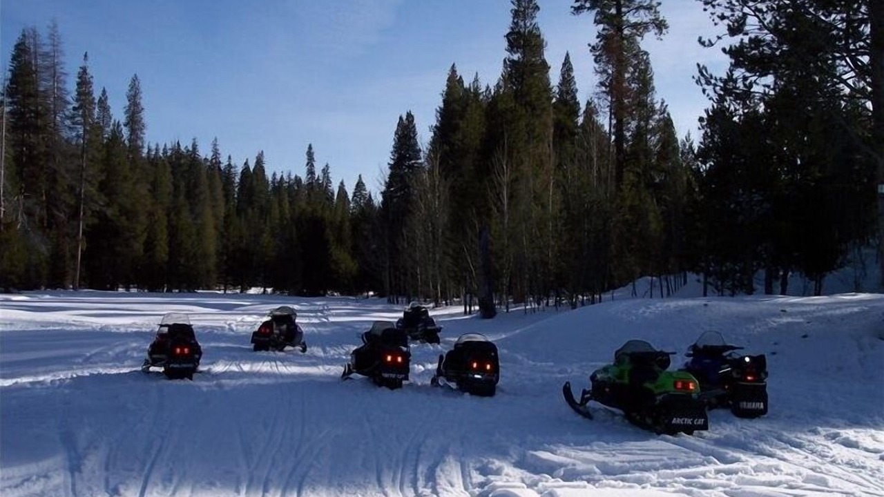 Photo of Others in Ponderosa