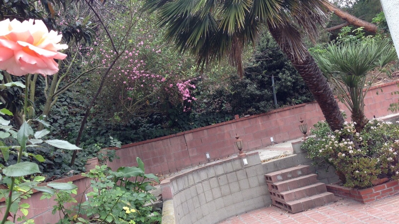 Photo of Others in Rancho Palos Verdes