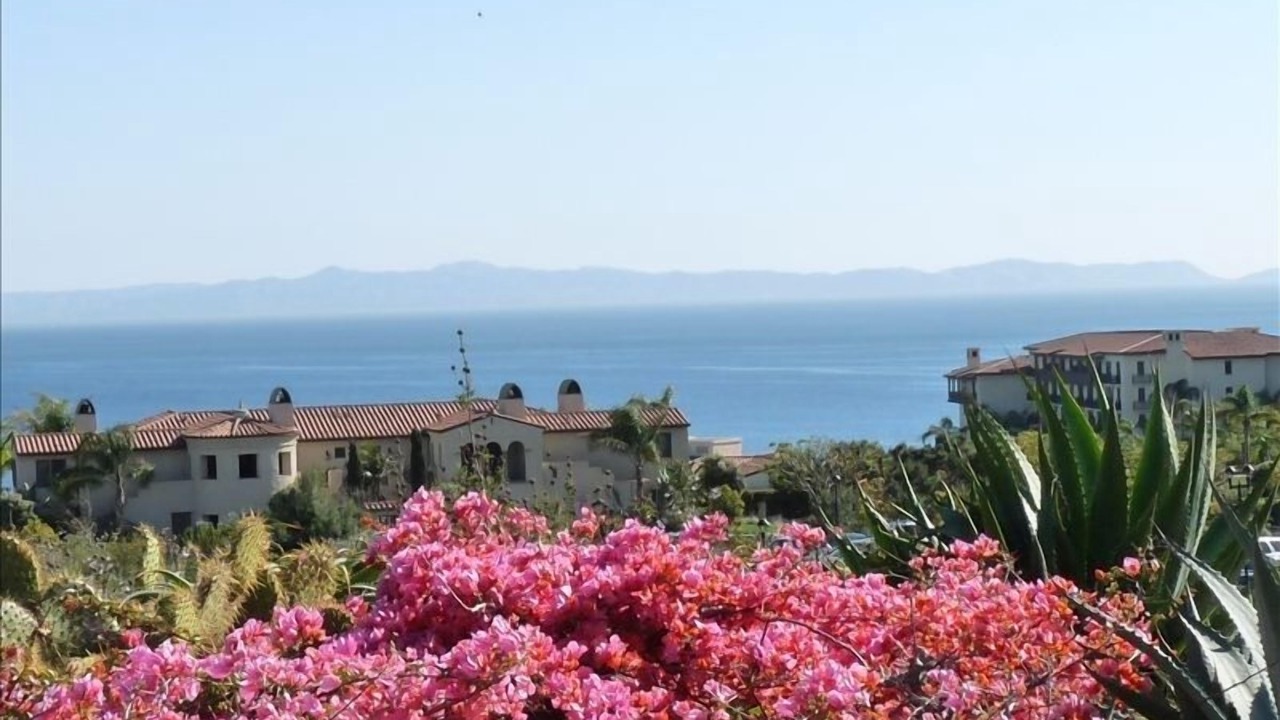 Photo of Others in Rancho Palos Verdes