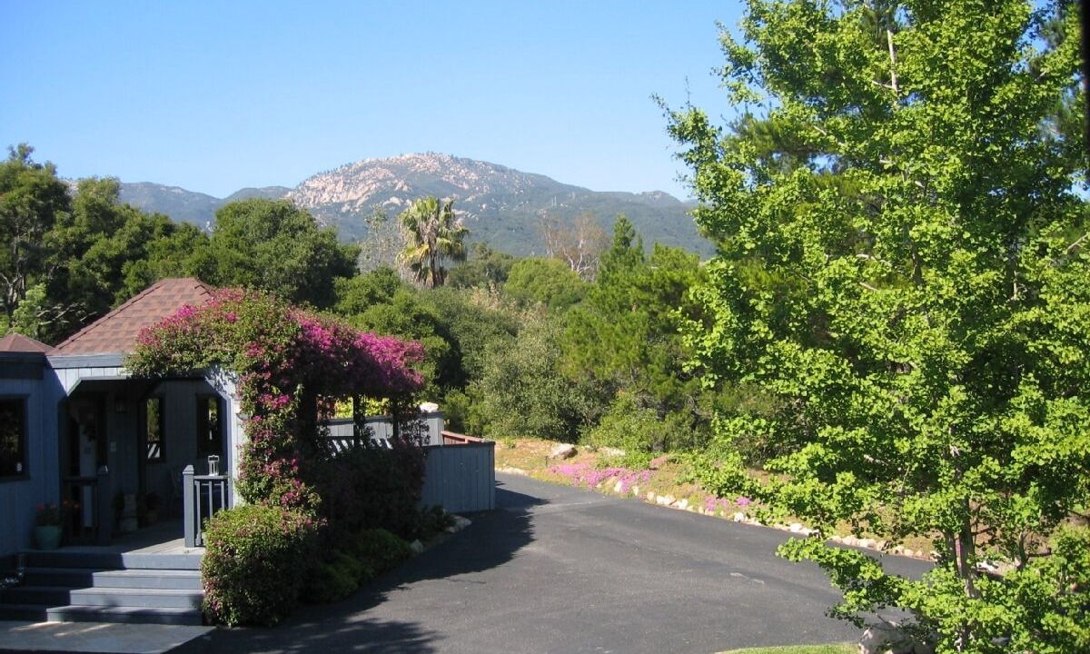 Photo of Others in Mission Canyon
