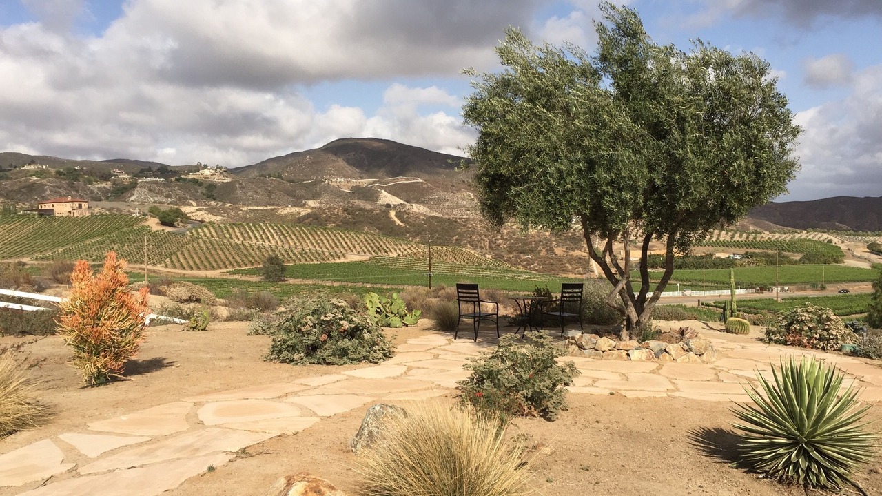 Photo of Others in Temecula