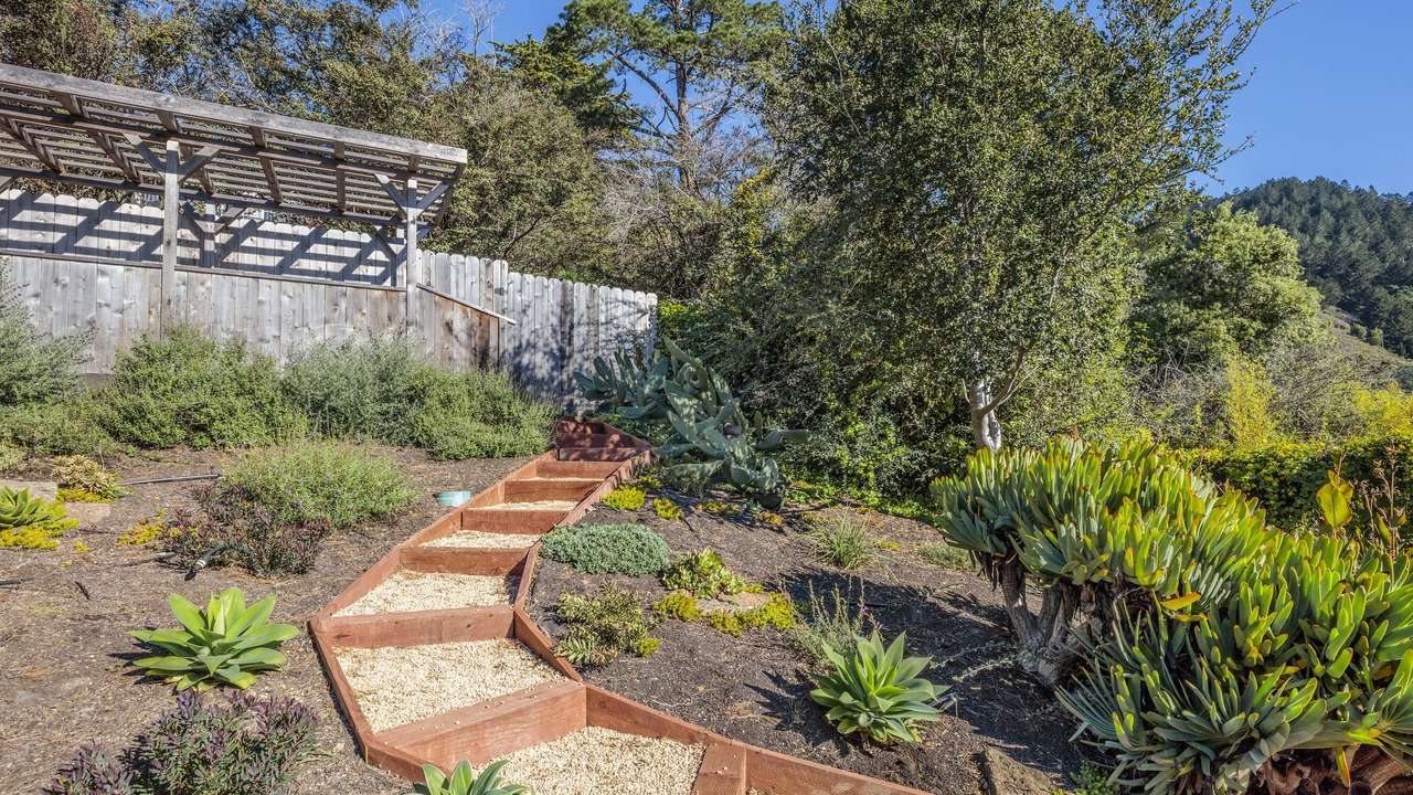 Photo of Outdoor in Stinson Beach