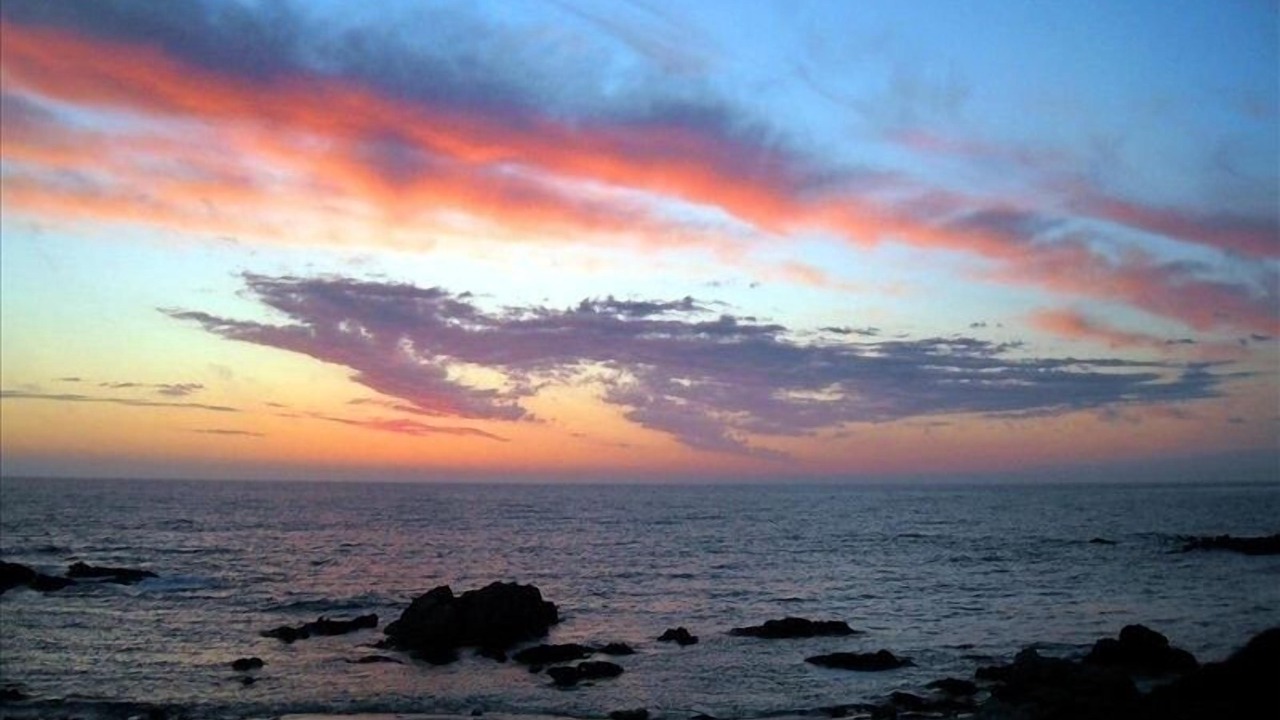 Photo of Others in Pacific Grove