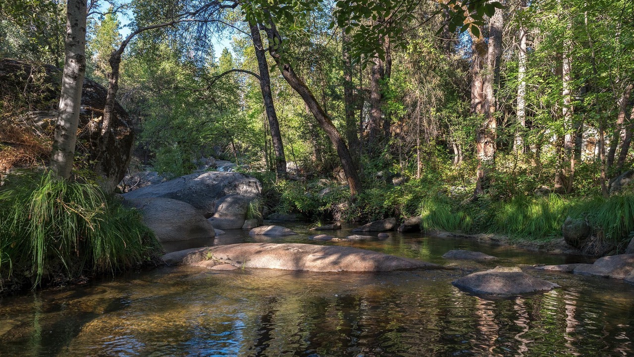 Photo of Outdoor in Yosemite Forks