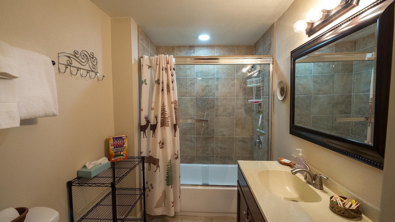 Photo of Bathroom in Yosemite Forks