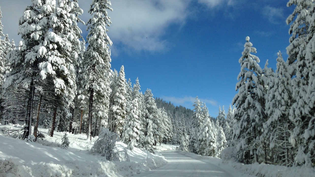 Photo of Others in Truckee