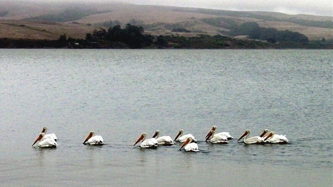 Photo of Others in Inverness