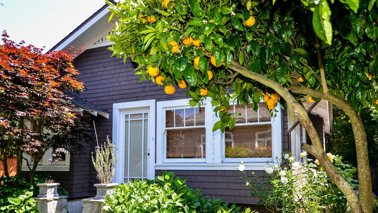 Photo of Outdoor in Mill Valley
