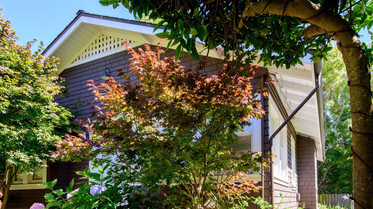 Photo of Outdoor in Mill Valley
