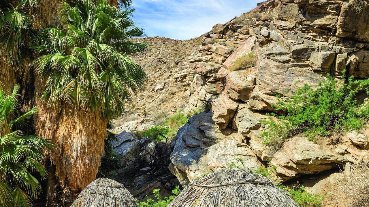 Photo of Others in Palm Springs