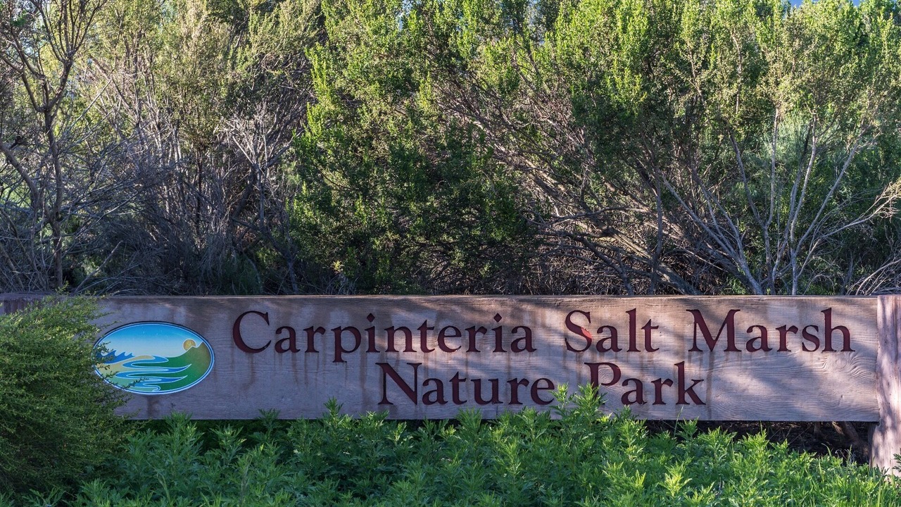 Photo of Others in Carpinteria