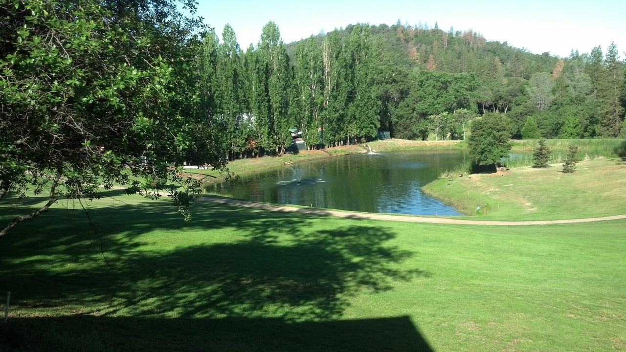 Photo of Others in Groveland